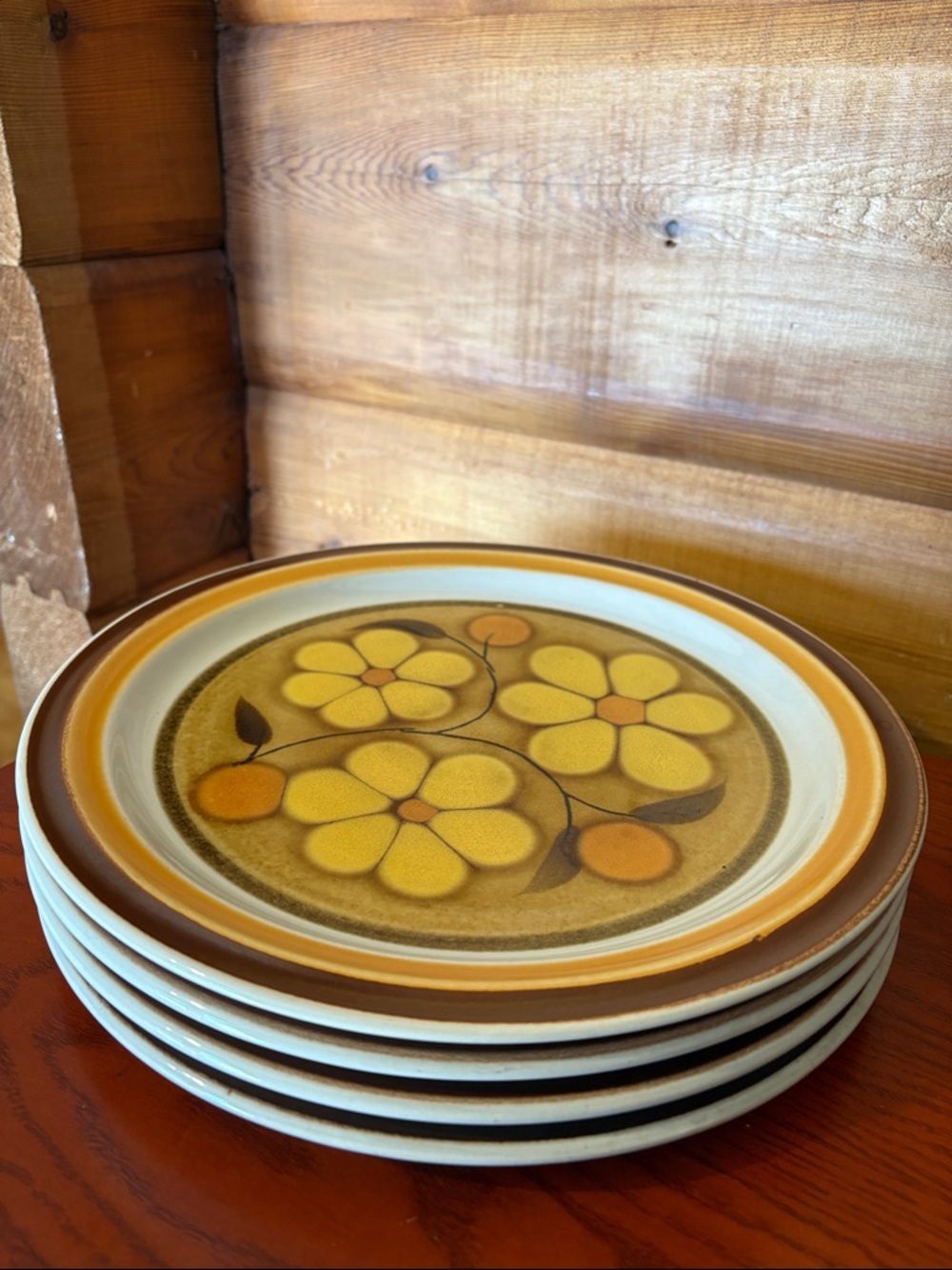 1970’s Daisydale Karina Japan Set of 4 Stonewear Plates